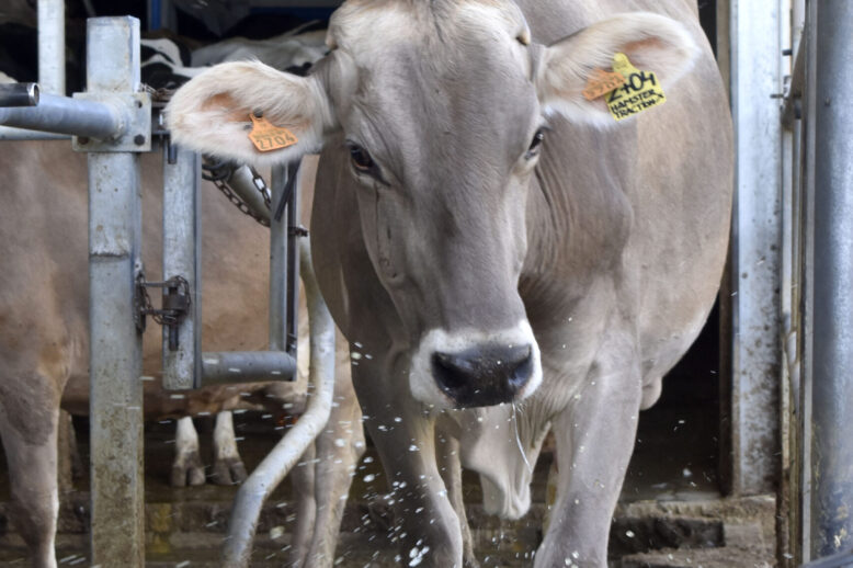 vp025_saudePodal_pauloHess_apertura3