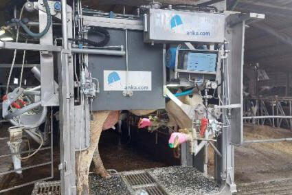 vp028_SaudePodal_apertura