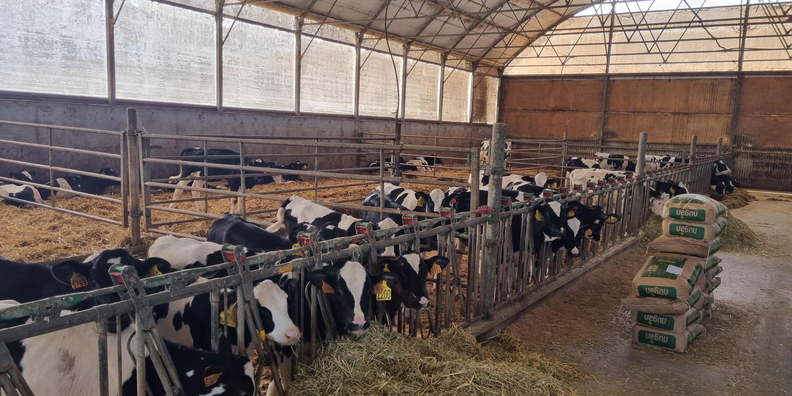 podalRecria (1)_apertura