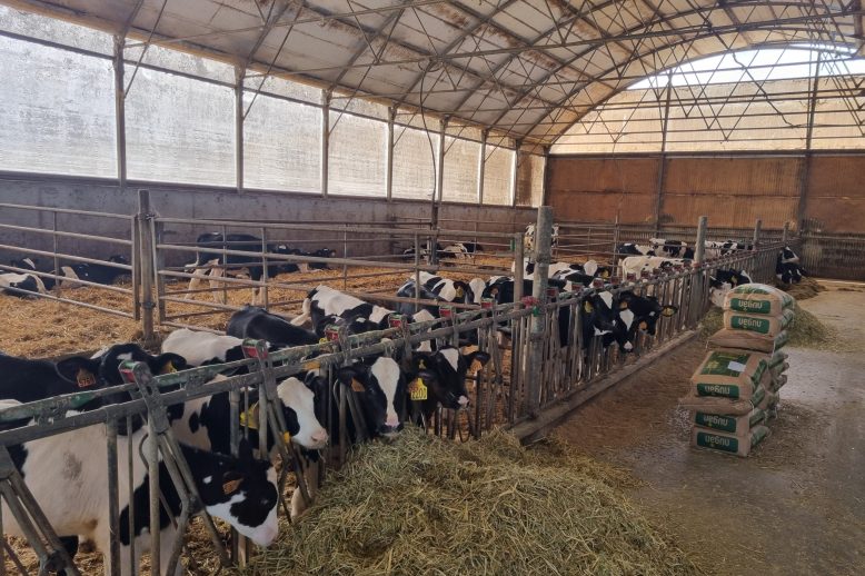 podalRecria (1)_apertura