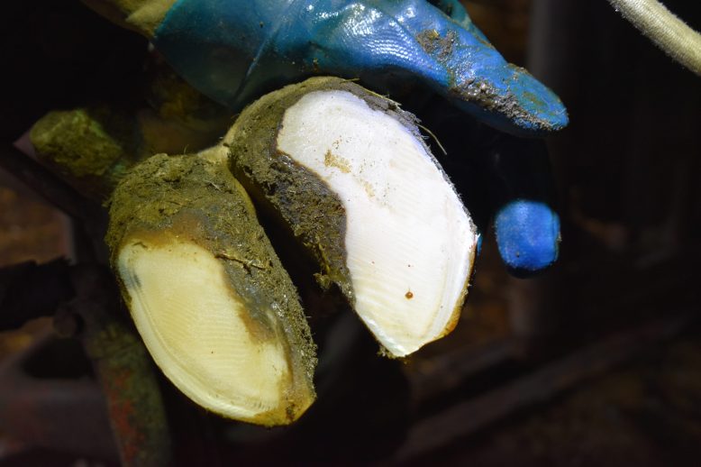 vp056_saudePodal_apertura